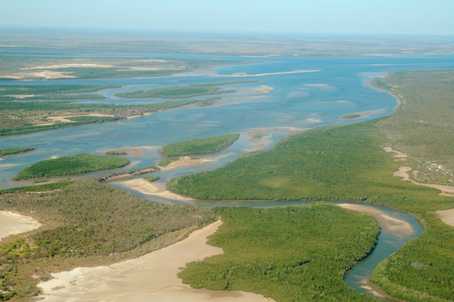 1mangroveexpanse