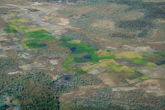 1ricefieldssatrana