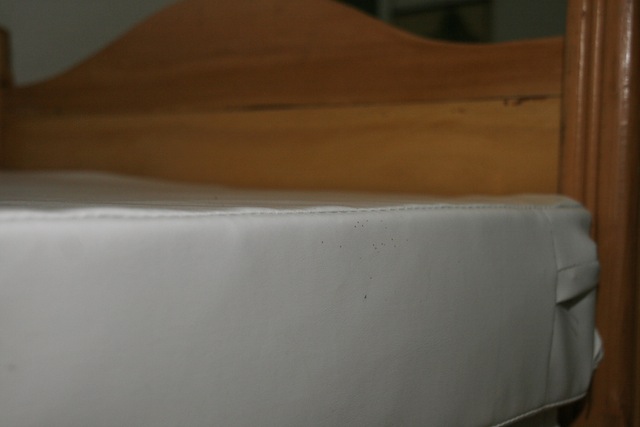 1bed